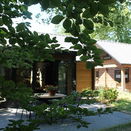 Cosy Wooden House Amid Woods In Soesterberg Utrecht Ngoại thất bức ảnh