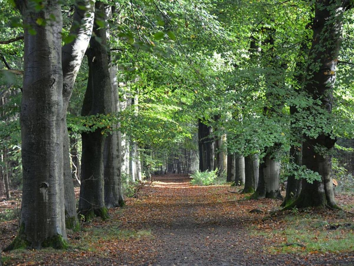 Cosy Wooden House Amid Woods In Soesterberg Utrecht Ngoại thất bức ảnh